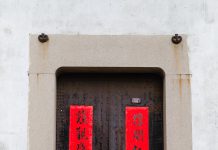 Sarbatoarea Primaverii-Anul Nou Chinezesc 春节