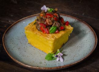 Tocana de hribi pe turta de malai